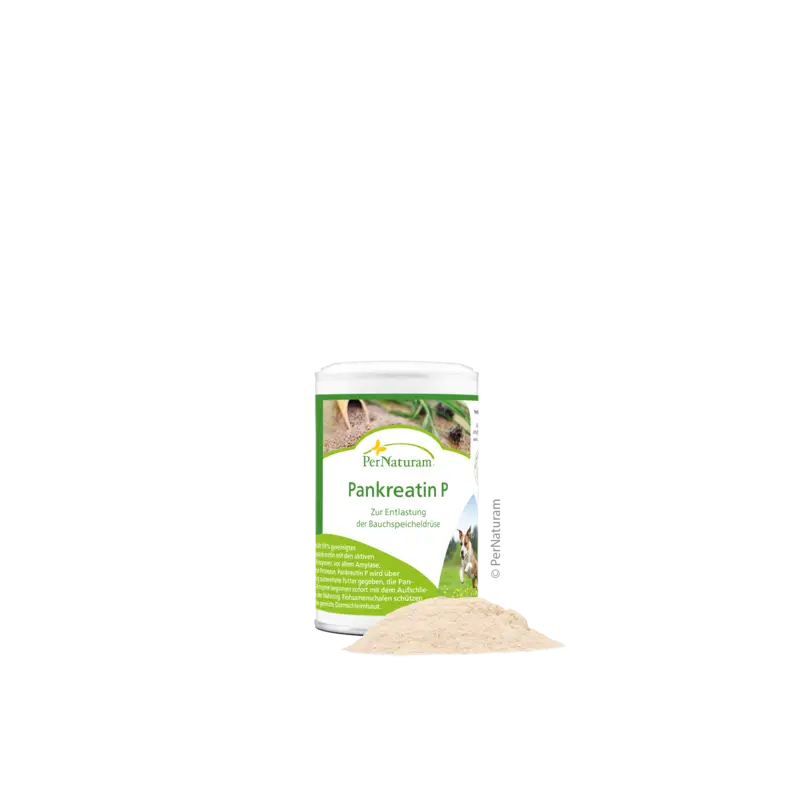 Pankreatin P