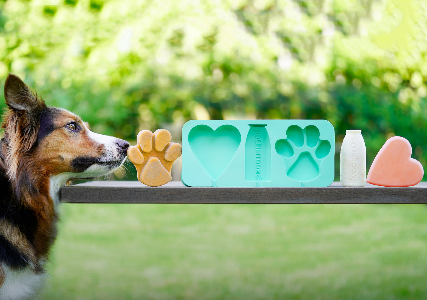 Smoothie Dog Eisform