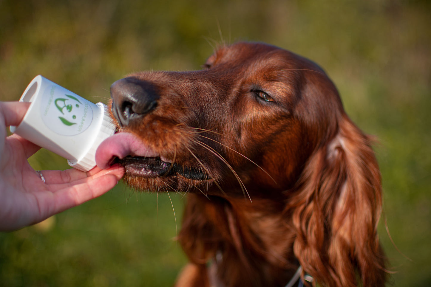 Doggypumper ohne Umhängeband