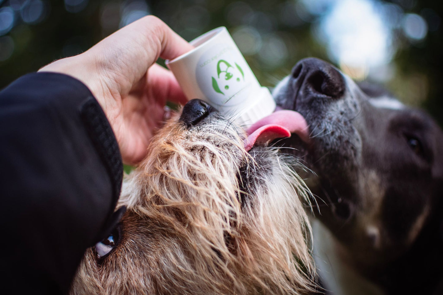Doggypumper ohne Umhängeband