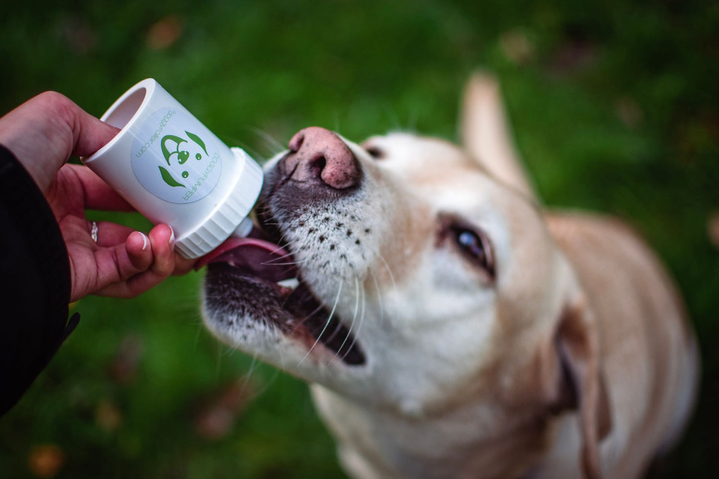 Doggypumper mit Umhängeband