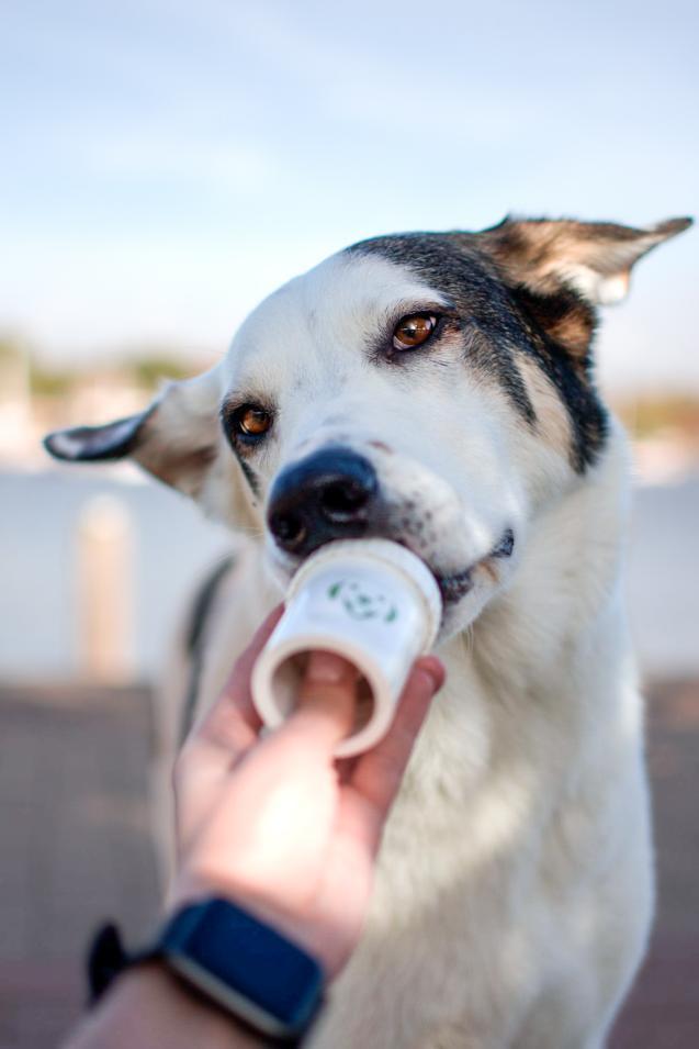 Doggypumper mit Umhängeband