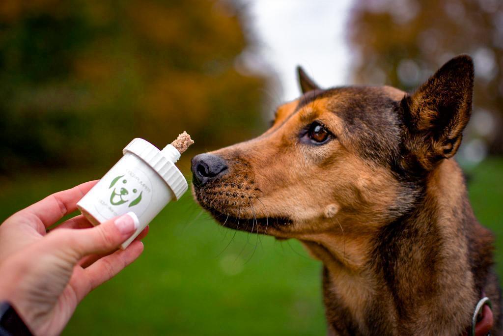 Doggypumper ohne Umhängeband