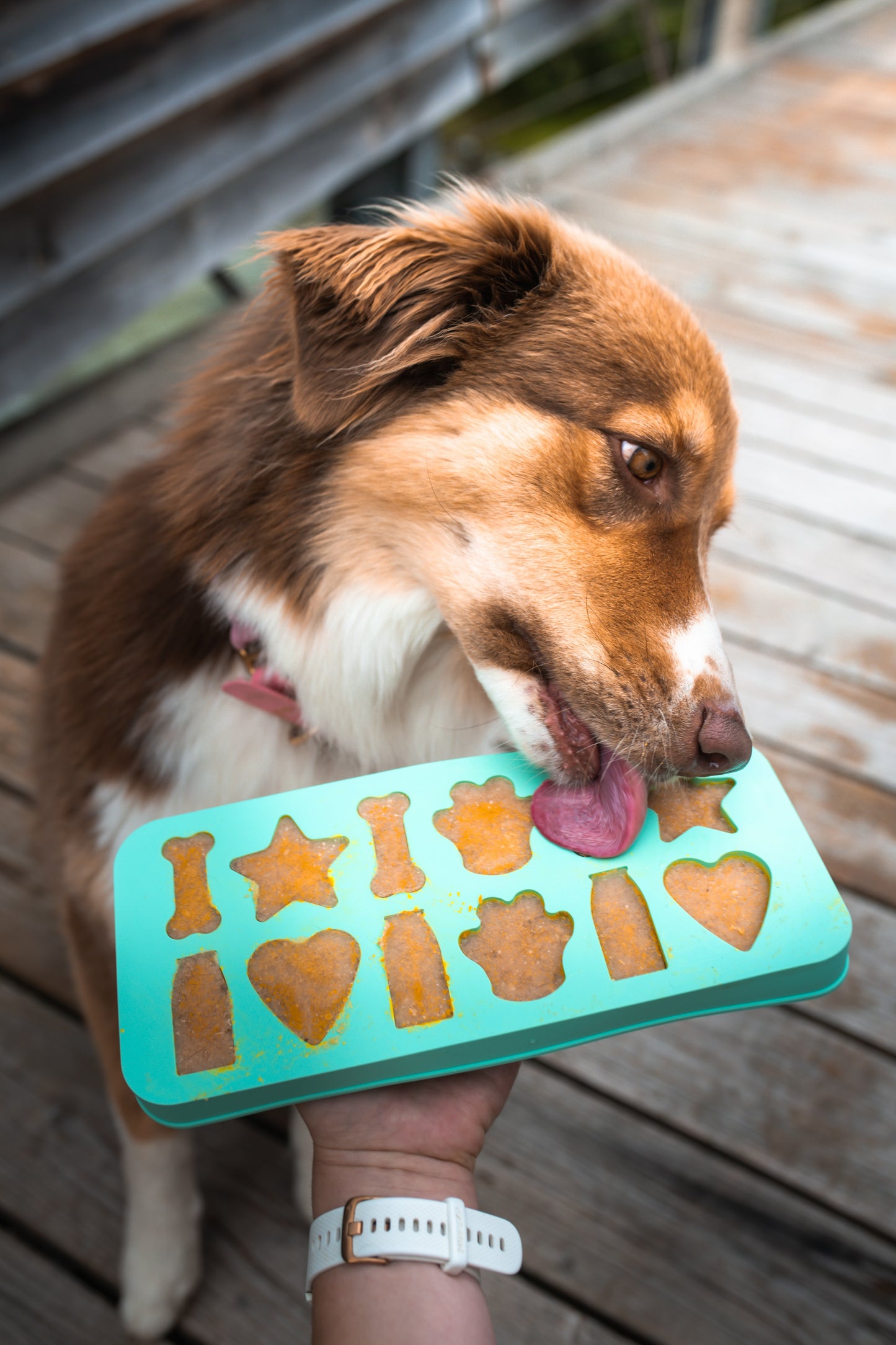 Smoothie Dog Eiswürfelform