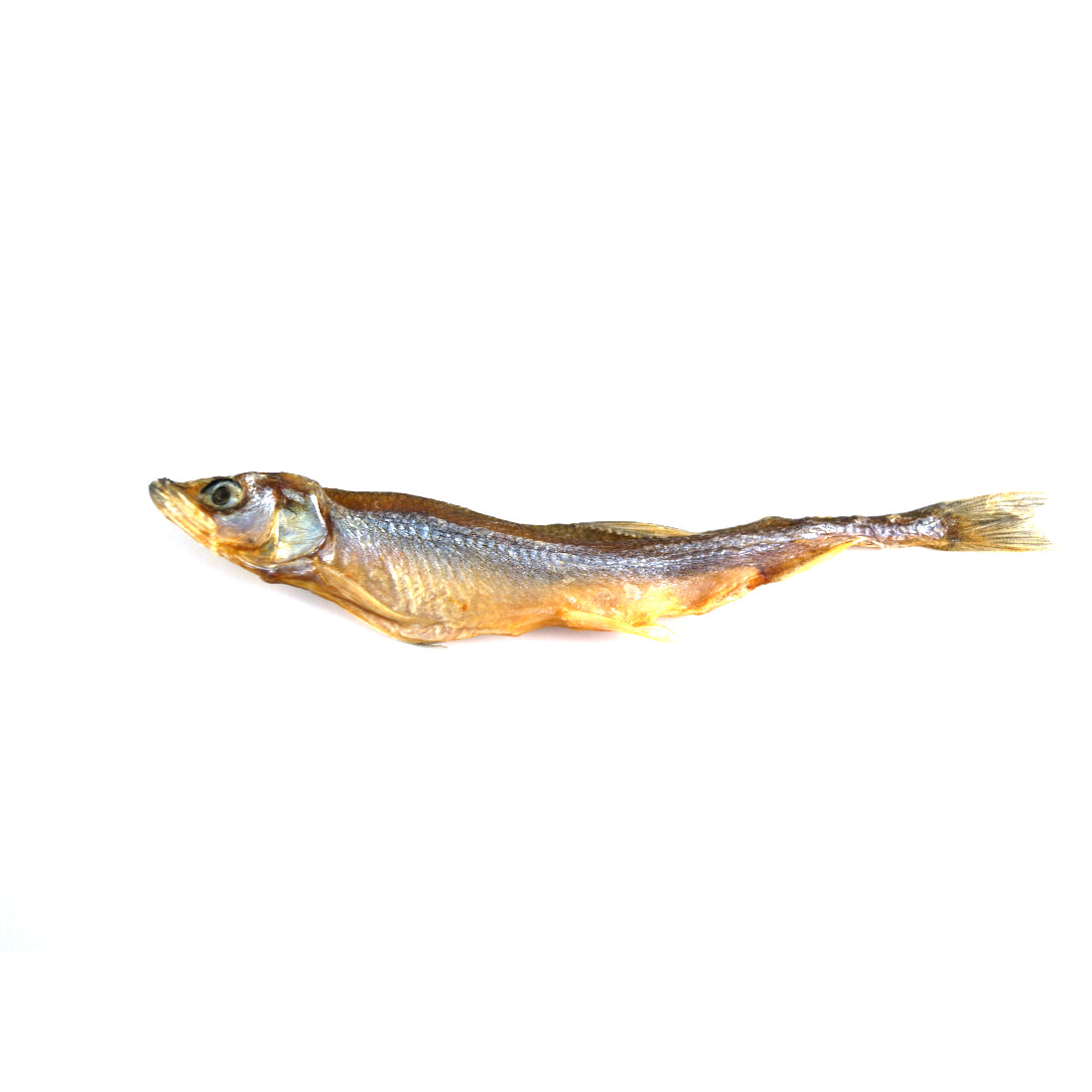 Stinte