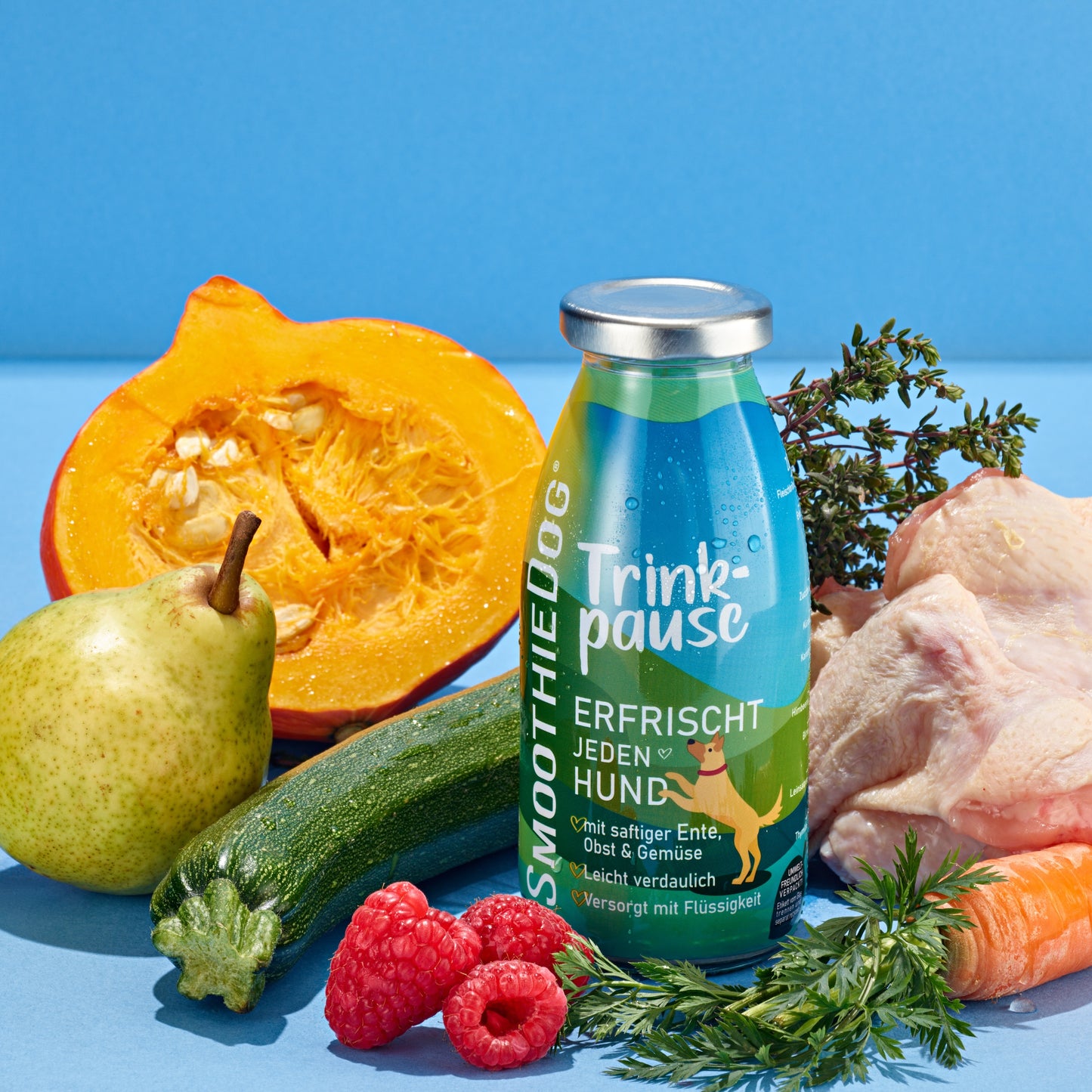 Smoothie Dog Trinkpause (Ente), 250ml
