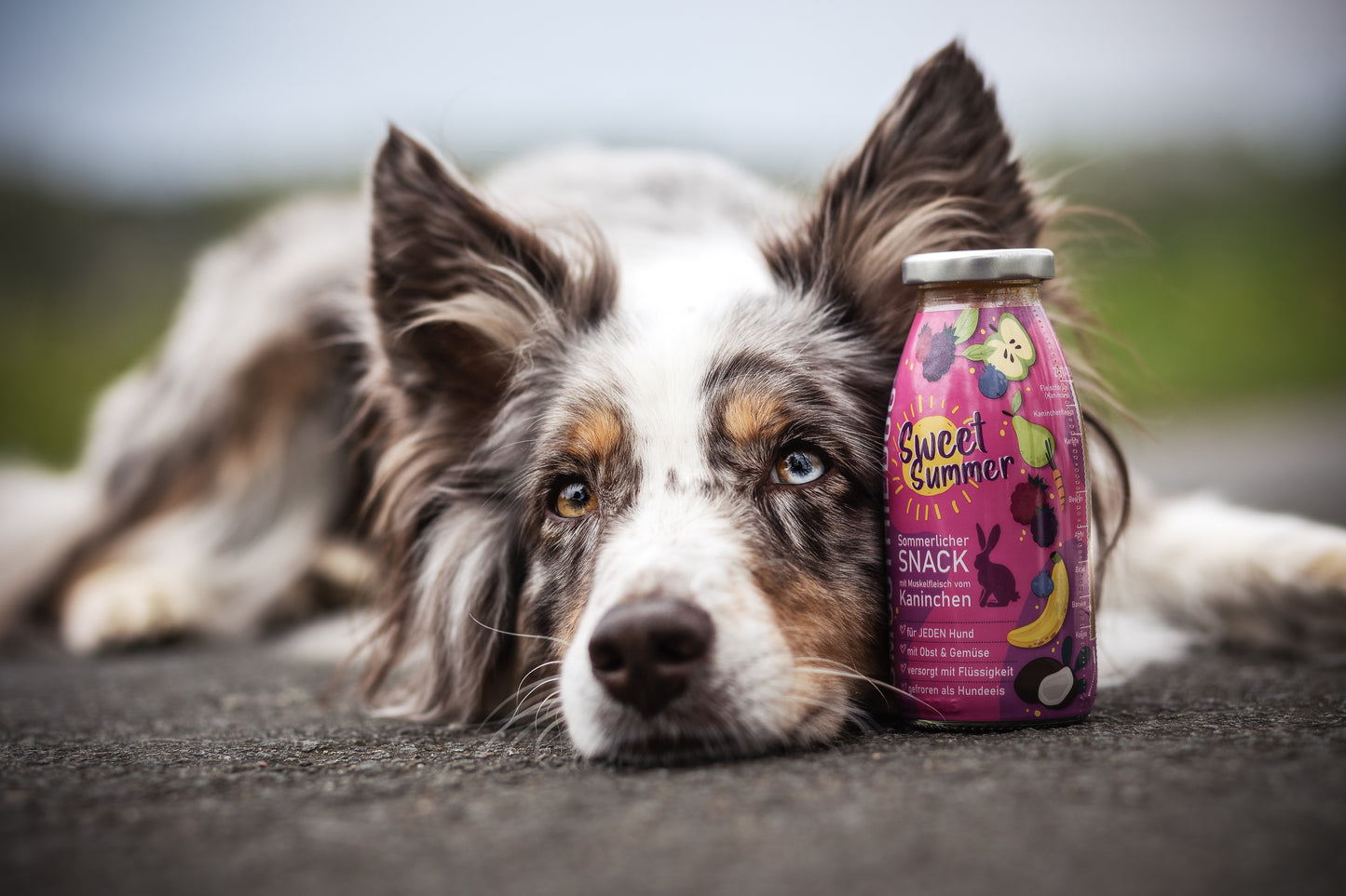 Smoothie Dog Sweet Summer, 250ml