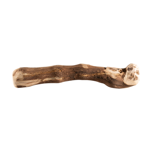 Weinrebe-Kaustab