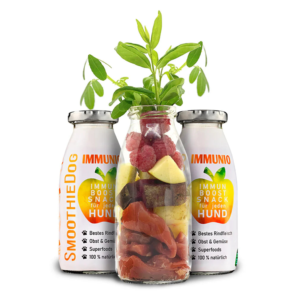 Smoothie Dog, 250ml