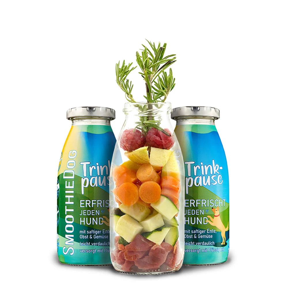 Smoothie Dog, 250ml