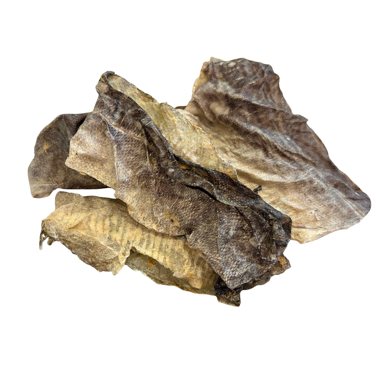 Dorschhaut